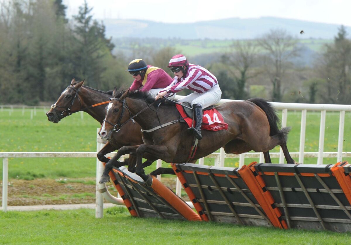Tenzing with jockey Kieran Callaghan, the eventual winner, (nearest) clearing the last with Roped In and jockey Aidan Kelly at Cork Racecourse, Mallow, last year. Picture: Denis Minihane. Tenzing with jockey Kieran Callaghan, the eventual winner, (nearest) clearing the last with Roped In and jockey Aidan Kelly at Cork Racecourse, Mallow, last year. Picture: Denis Minihane.