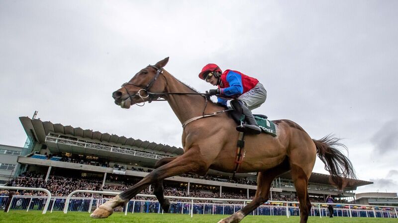 Cheltenham: Looking for value in the Cork runners at the Festival Cheltenham: Looking for value in the Cork runners at the Festival