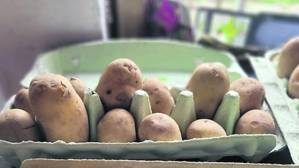 It's time to prepare your spuds ahead of March 17
