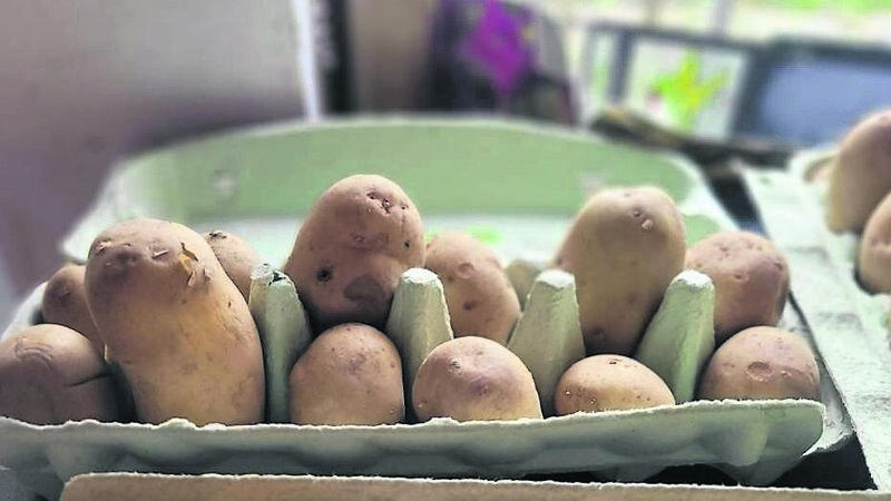 It's time to prepare your spuds ahead of March 17