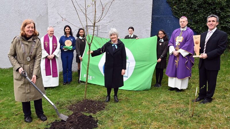 Cork parish gets a gold eco award for environmental work