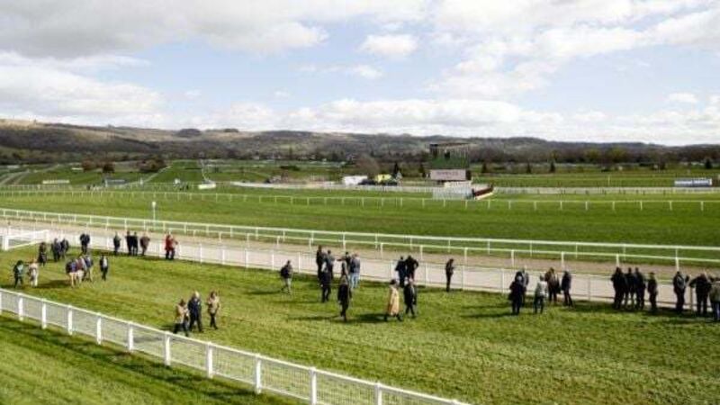 Cost of day for Irish racing fans travelling to Cheltenham surges 43% in four years