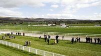 Cost of day for Irish racing fans travelling to Cheltenham surges 43% in four years