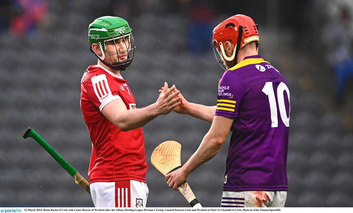 Brian Roche of Cork with Conor Hearne of Wexford after the game last weekend. Picture: Eóin Noonan/Sportsfile Brian Roche of Cork with Conor Hearne of Wexford after the game last weekend. Picture: Eóin Noonan/Sportsfile