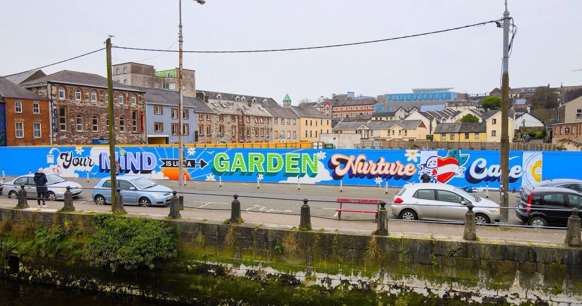 Mental well-being mural unveiled in Cork city - Vimarsana News