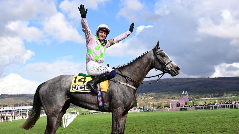 Cork's Paul Townend rides his fourth Cheltenham winner this week on Lossiemouth Cork's Paul Townend rides his fourth Cheltenham winner this week on Lossiemouth