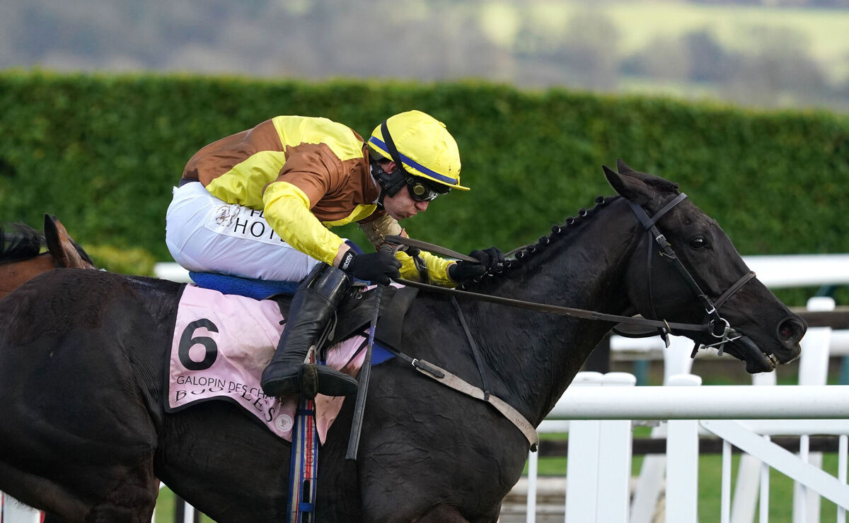 Galopin Des Champs ridden by Paul Townend and trained by Willie Mullins on their way to winning the Boodles Cheltenham Gold Cup. Picture: Tim Goode/PA Wire. Galopin Des Champs ridden by Paul Townend and trained by Willie Mullins on their way to winning the Boodles Cheltenham Gold Cup. Picture: Tim Goode/PA Wire.
