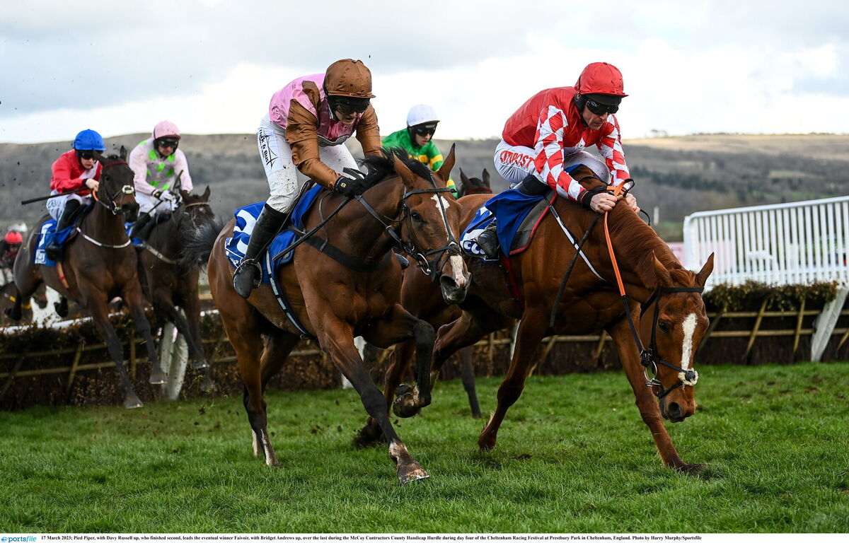 Pied Piper, with Davy Russell up, who finished second, leads the eventual winner Faivoir, with Bridget Andrews up, over the last during the McCoy Contractors County Handicap Hurdle. Picture: Harry Murphy/Sportsfile Pied Piper, with Davy Russell up, who finished second, leads the eventual winner Faivoir, with Bridget Andrews up, over the last during the McCoy Contractors County Handicap Hurdle. Picture: Harry Murphy/Sportsfile
