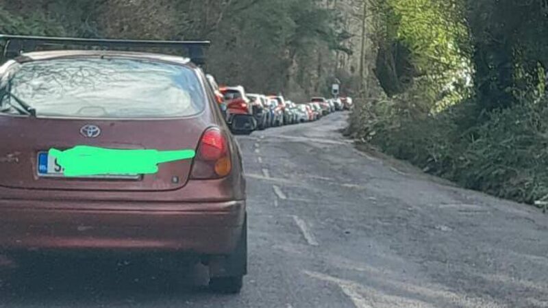 Councillors to meet with industry leaders after Cork traffic chaos due to repair works