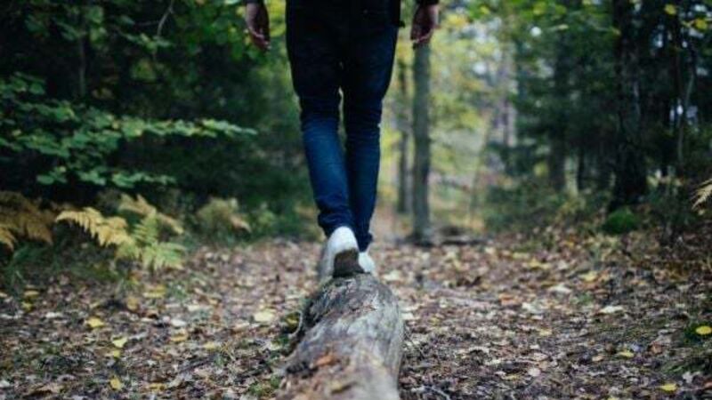 Co Wicklow walking trail closed after assault on landowner