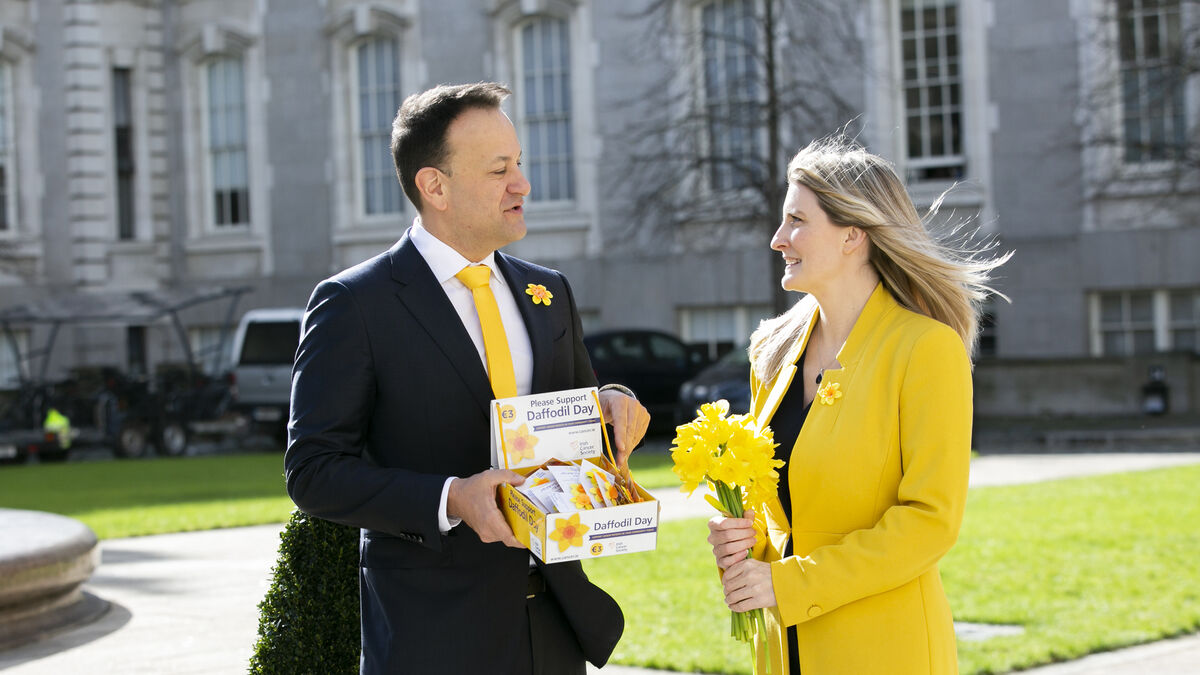 Irish Cancer Society appeal for volunteer drivers on Daffodil Day