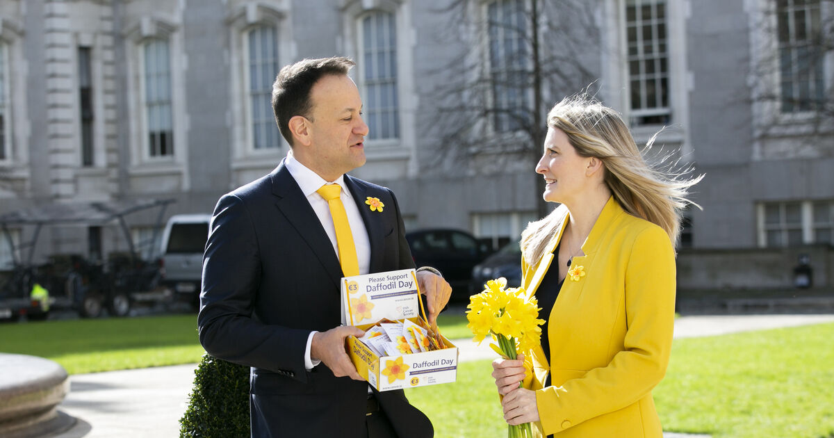 Irish Cancer Society appeal for volunteer drivers on Daffodil Day - Vimarsana News