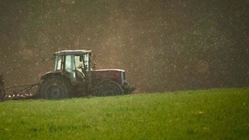 Woman (63) smashed ex-husband's tractor with golf club over €200,000 debt