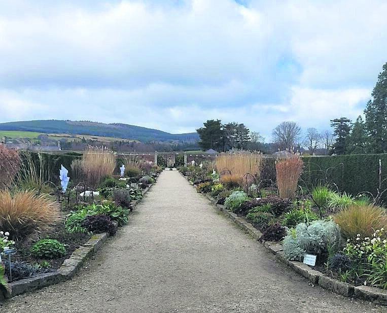 The longest herbaceous border starting to come to life. The longest herbaceous border starting to come to life.