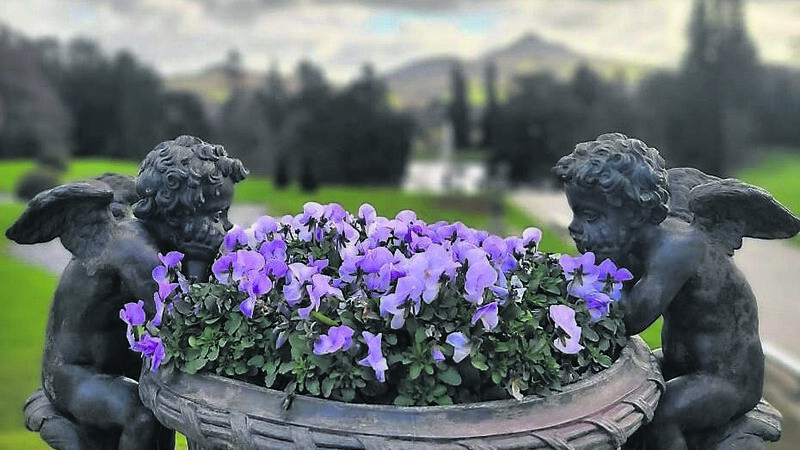 You'll want to visit this haven to get ideas for your own garden... You'll want to visit this haven to get ideas for your own garden...