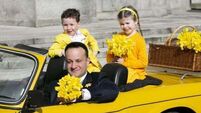 Irish Cancer Society appeal for donations of Daffodil Day