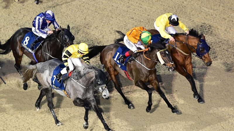 Wayne Lordan can shine again this season as flat season is back on track
