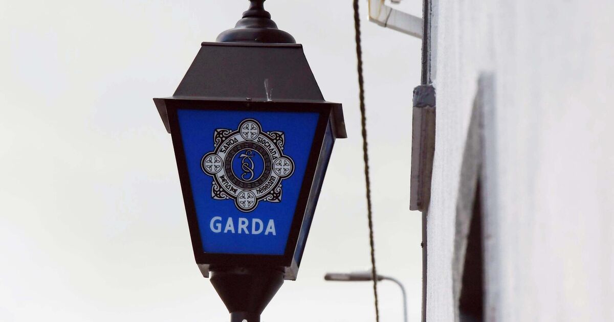 Woman released without charge in Kerry Babies investigation - Vimarsana News