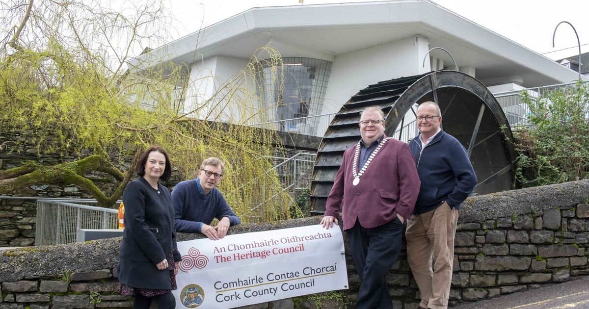 New chapter for Bantry Library as conservation work gets underway - Vimarsana News