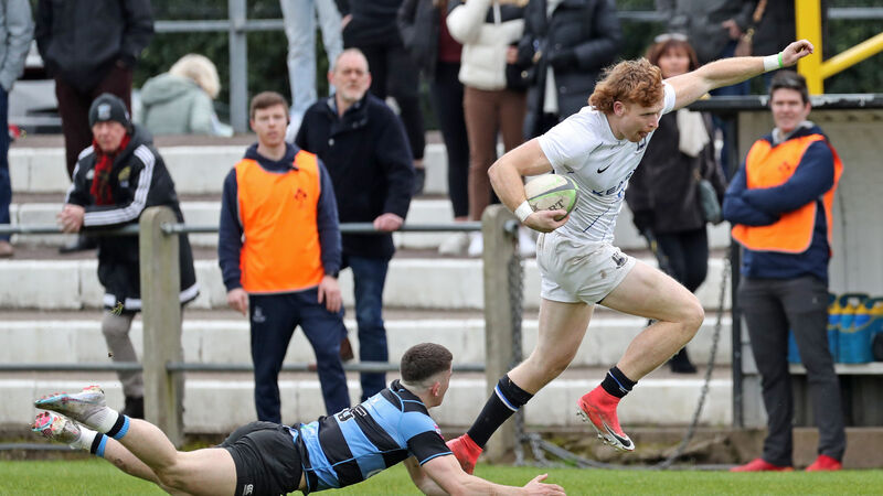 AIL: Cork Con march to the semis again with emphatic win over Shannon