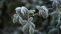 Temperatures to drop to -2 degrees in mini cold snap