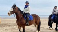 Stars take in beauty of Northern Irish coastline in new BBC Two series