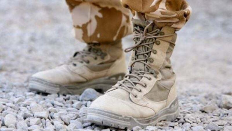 Defence Forces inquiry to begin as soon as possible, Varadkar says