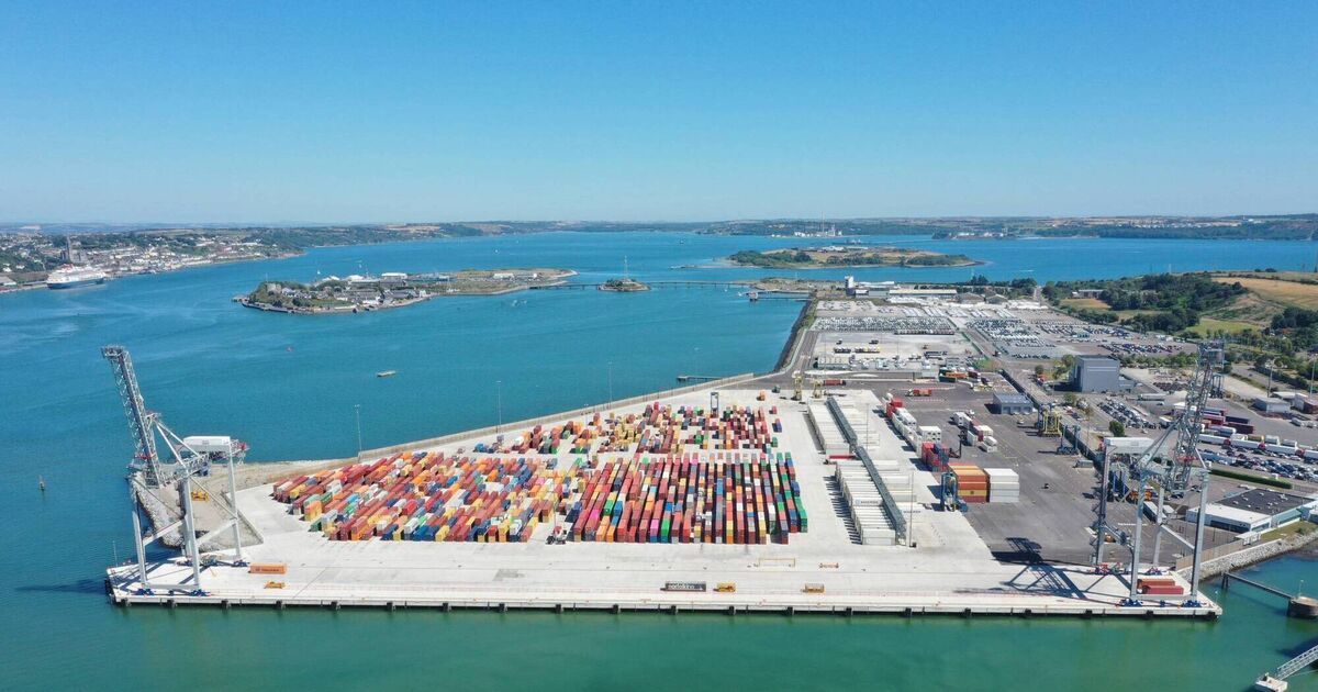 Environmentalist hit out at proposed natural gas facility for Port of Cork - Vimarsana News