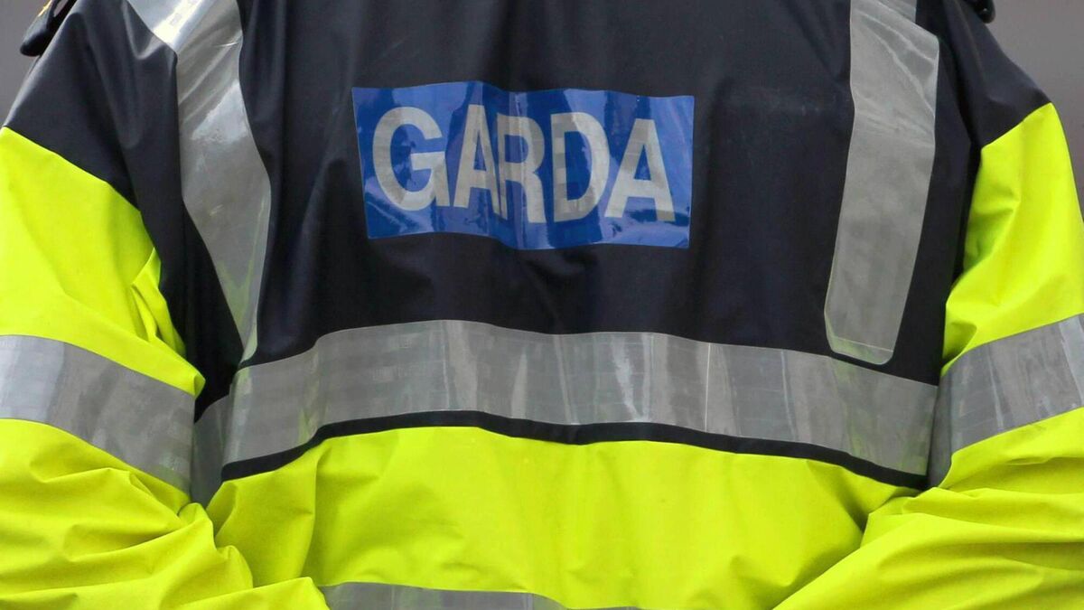 Man, 22, pointed imitation gun at gardaí in Cork city, court hears