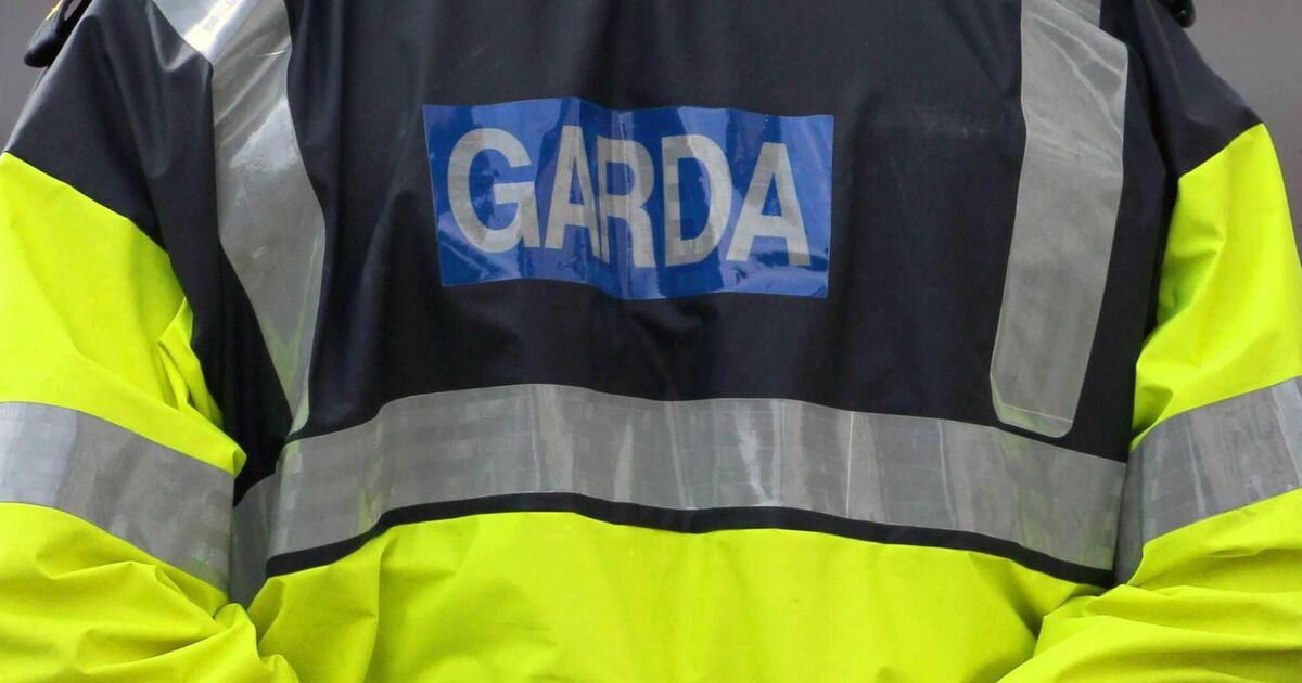 Man, 22, pointed imitation gun at gardaí in Cork city, court hears - Vimarsana News