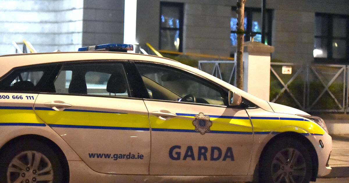 'He cannot behave like that': Jail for Corkman who jumped on bonnet of garda car and called officers pigs - Vimarsana News