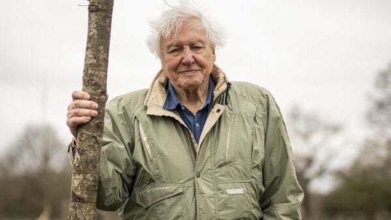 Sir David Attenborough warns we have a few short years left to fix natural world