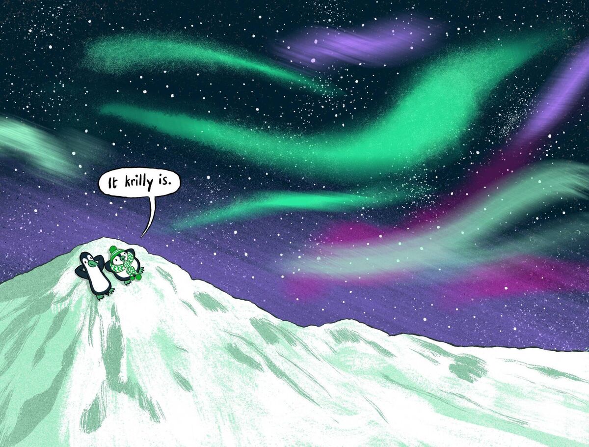 An illustration from Sheena Dempsey's Pablo and Splash.