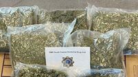 Man arrested as gardaí seize cannabis worth €130,000
