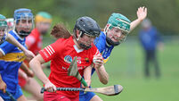 Two Ciara Morrison goals help Cork minor camogie team overcome Tipperary