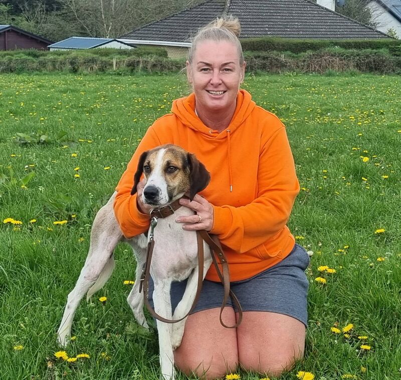 Lauren Freyne with Charlie Chaplin of Clogheen winner of the Michael O’Mahony Memorial Puppy Draghunt at Blackpool.
