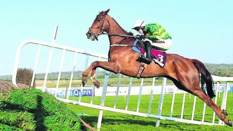 The Longshot: Capodanno can be a National hero over big fences
