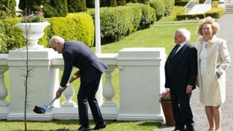 Biden expresses hope his great-grandchildren can climb tree he planted in Dublin