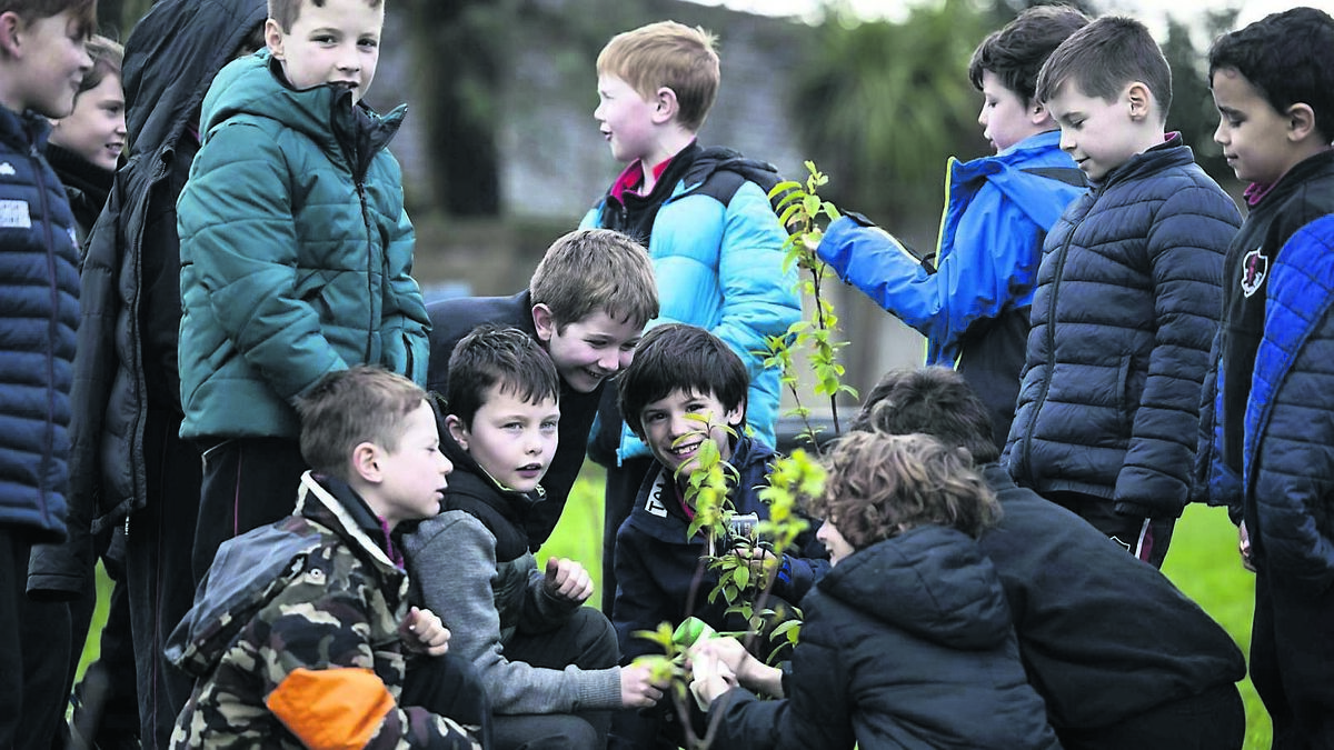 Council launches fund to help groups tackle climate change