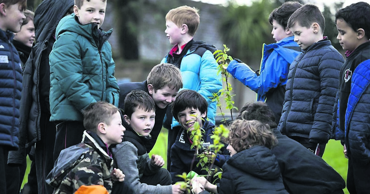 Council launches fund to help groups tackle climate change - Vimarsana News