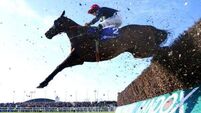 Animal rights activists plan to enter Aintree racecourse to stop Grand National
