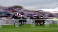 Hundreds of activists set to disrupt Grand National at Aintree