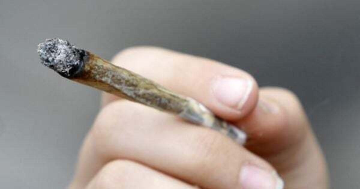 Citizen's Assembly told cannabis is being contaminated with synthetics - Vimarsana News