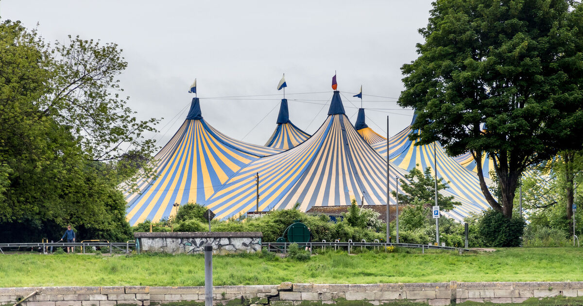 Marquee concerts in Cork this year are to be cashless events - Vimarsana News