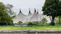 Marquee concerts in Cork this year are to be cashless events