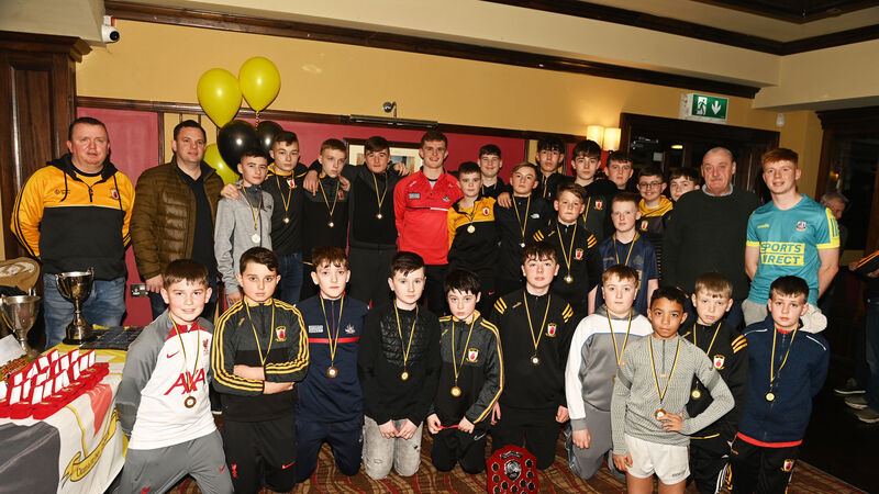 Na Piarsaigh appoint games development officer