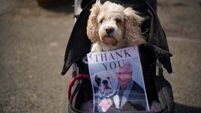 Paul O’Grady’s love of dogs celebrated with canine welcoming party at funeral