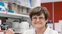 UCC to award honorary doctorate to scientist who turned the tide on Covid pandemic