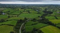 Cost of agricultural land to increase by 8% this year, survey suggests