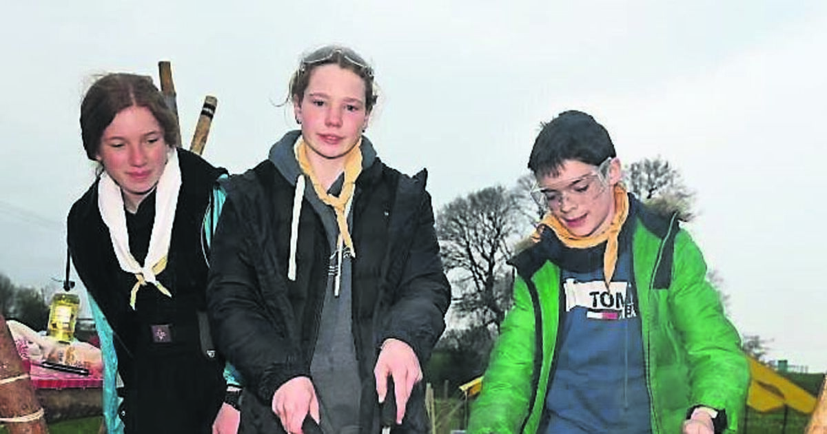 Pictures: Cork's scout counties hold a successful event at Showgrounds - Vimarsana News